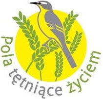 logo pola