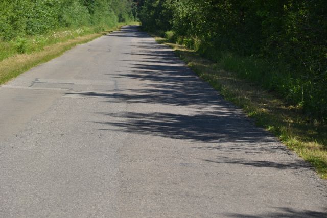 DSC 4179