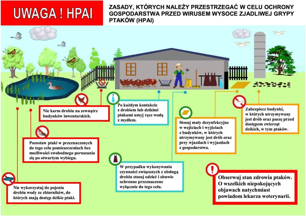 Zał. nr 2 Ulotka informacyjna o grypie ptaków, treść w linku do GIW