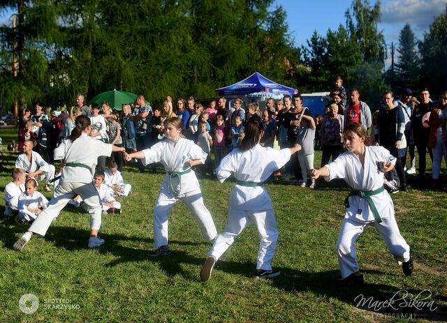 pokaz karate