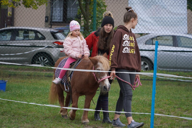 piknik integracyjny polsko-ukraiński w Skarżysku-Kamiennej - kucyki