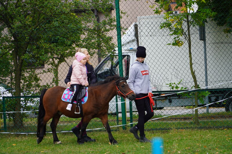 piknik integracyjny polsko-ukraiński w Skarżysku-Kamiennej - kucyki