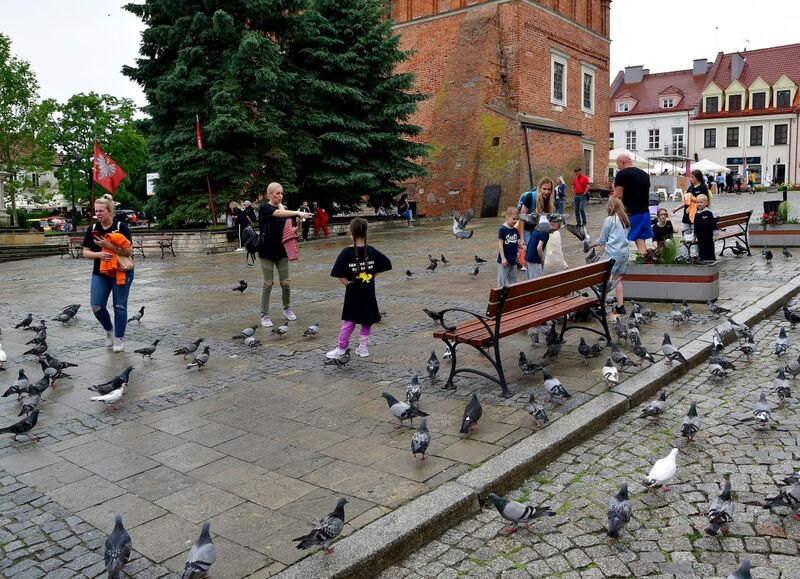 Rynek w Sandomierzu