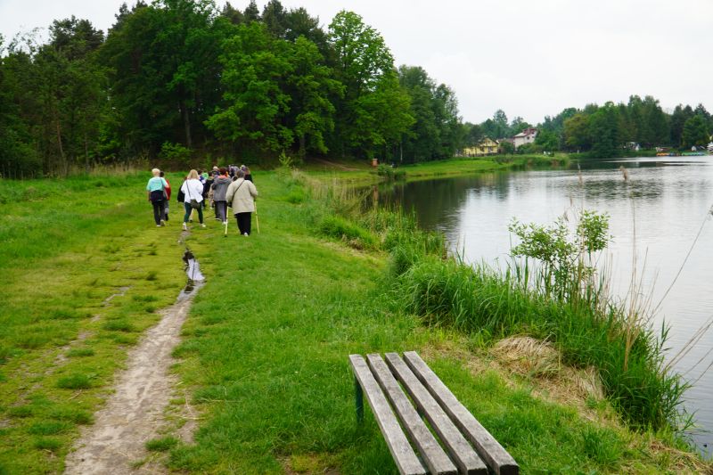 Spacer pokoleniowy nordik walking wokół zalewu w Suchedniowie 