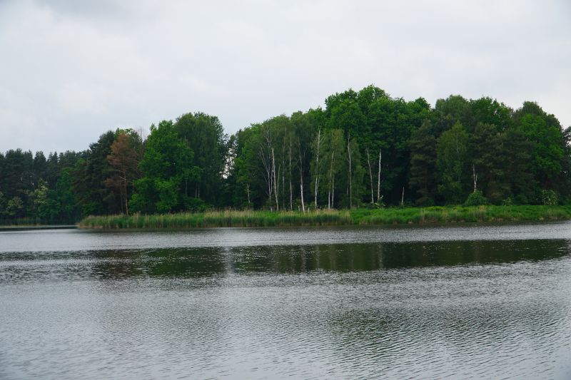 Spacer pokoleniowy nordik walking wokół zalewu w Suchedniowie 