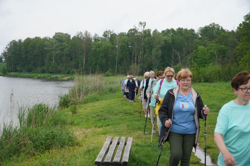 Spacer pokoleniowy nordik walking wokół zalewu w Suchedniowie 