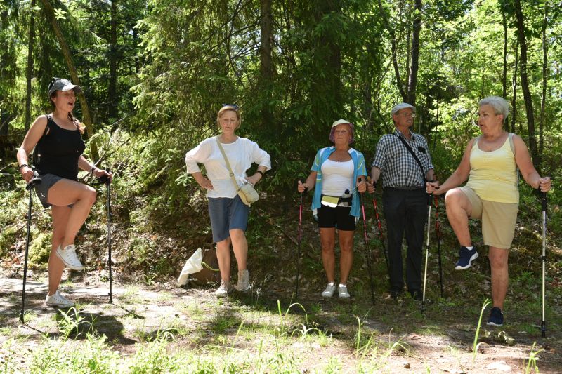 rajd pieszy nordic walking