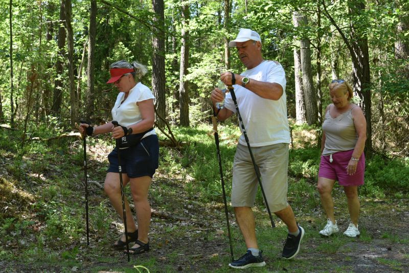 rajd pieszy nordic walking