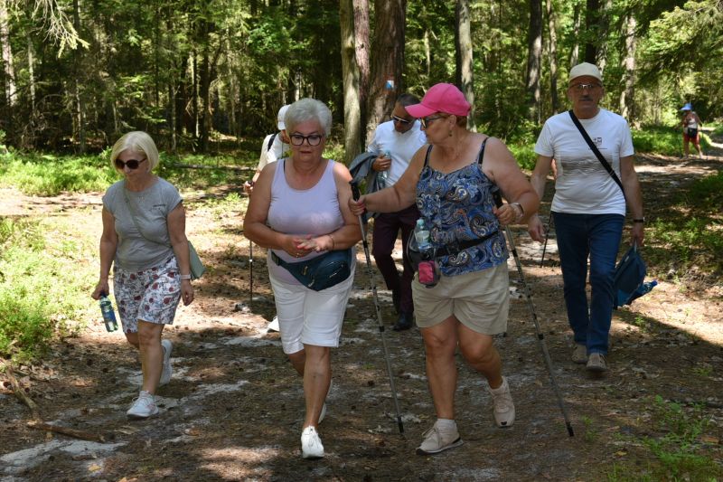 rajd pieszy nordic walking