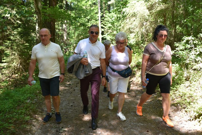 rajd pieszy nordic walking