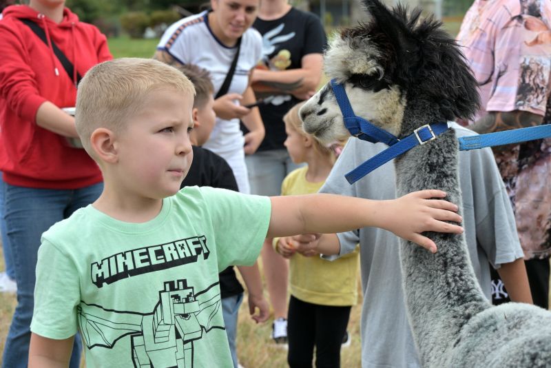 II Piknik Integracyjny w Zbrojowie 