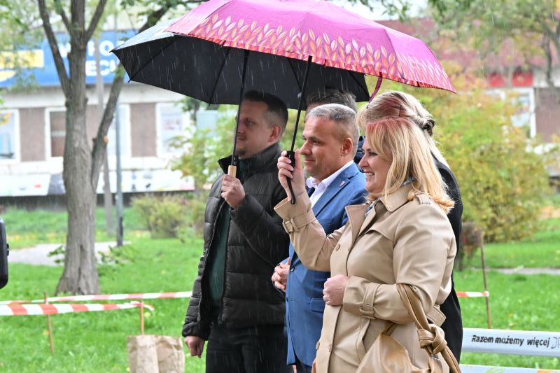 Na Skwerze Braci Zygmuntowiczów