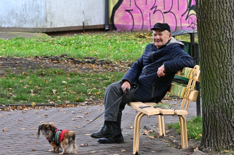 Pan na ławeczce