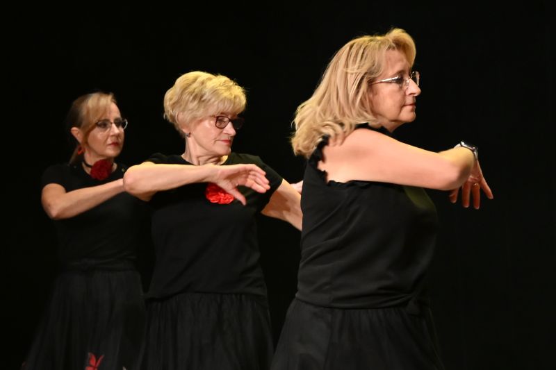 Wybory Skarżyskiej Miss Seniorek