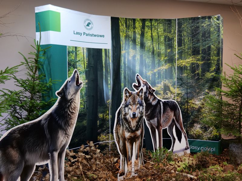 Konferencja w Suchedniowie na temat przyszłości lasów i leśnictwa w dobie zmian klimatu