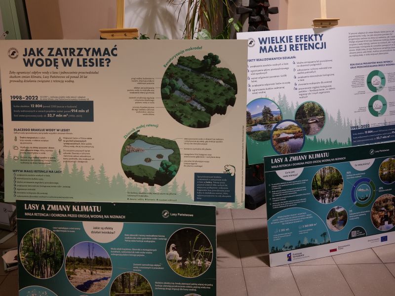 Konferencja w Suchedniowie na temat przyszłości lasów i leśnictwa w dobie zmian klimatu