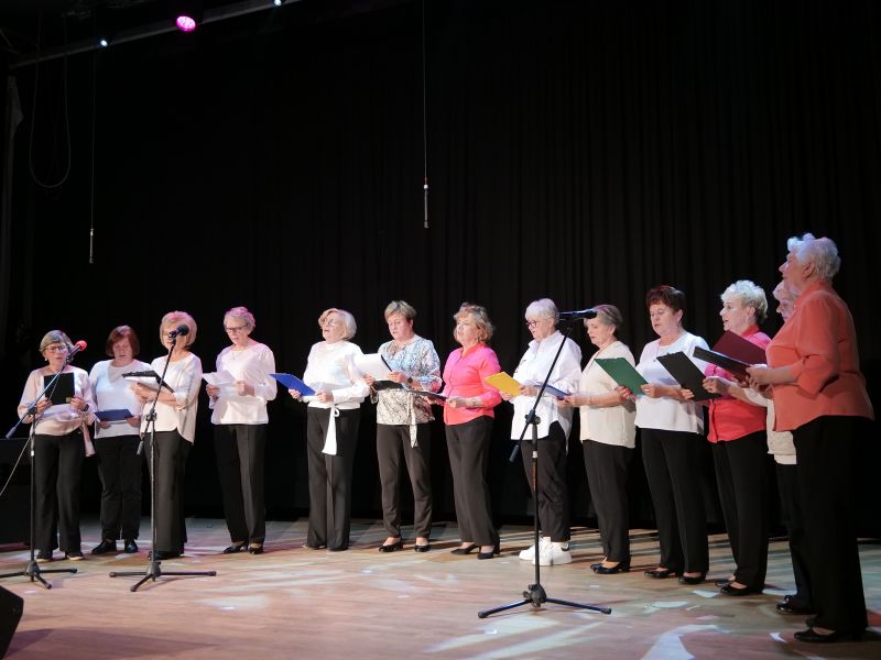 Artystyczne obchody Gminnego Dnia Seniora w Suchedniowie