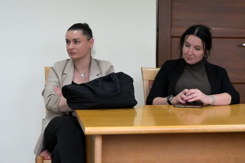 Szkolenie w Starostwie Powiatowym w Skarżysku -Kamiennej: Edukacja dla Zmian Klimatycznych