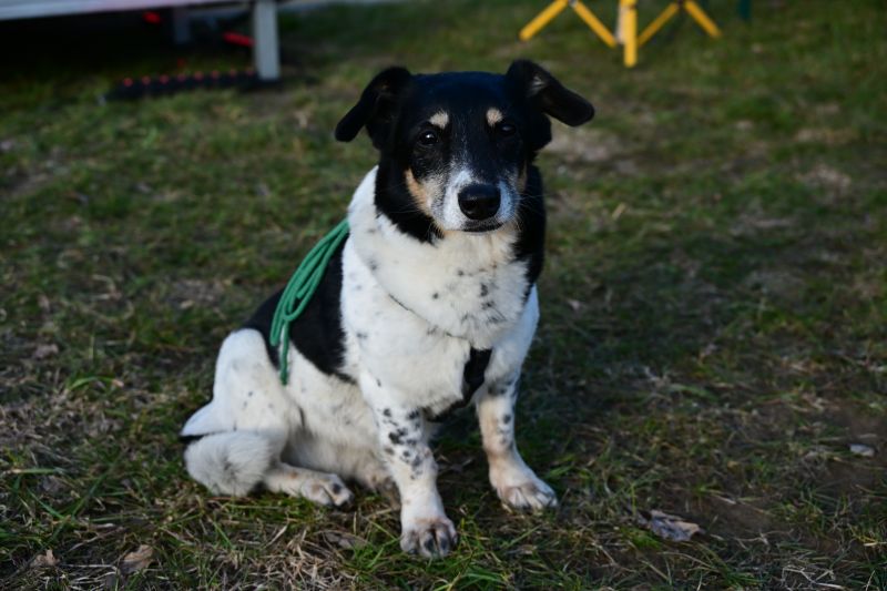 Maraton Wrota Piekieł w Gminie Bliżyn
