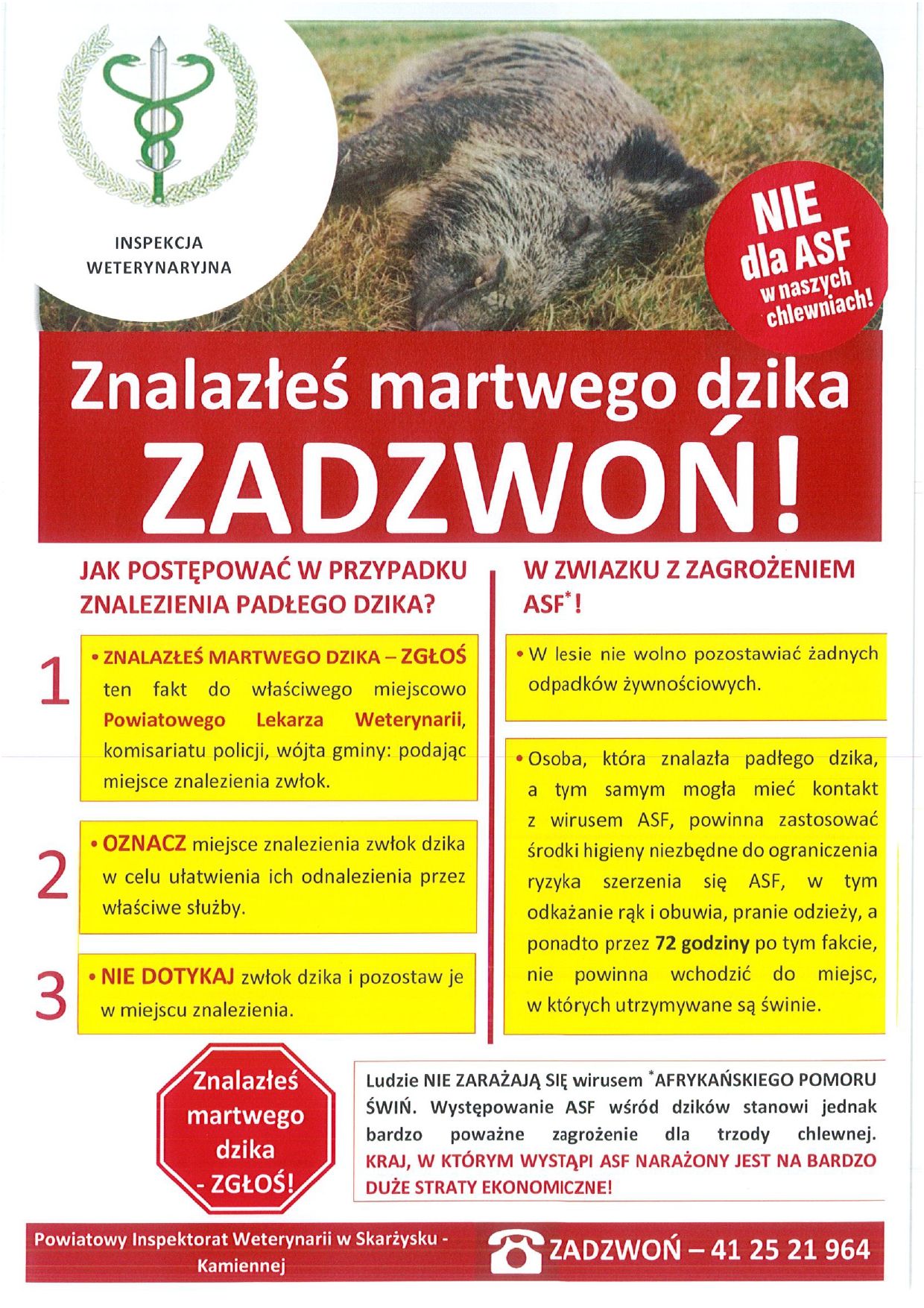 Plakat dot dzikow page 0001 1 copy
