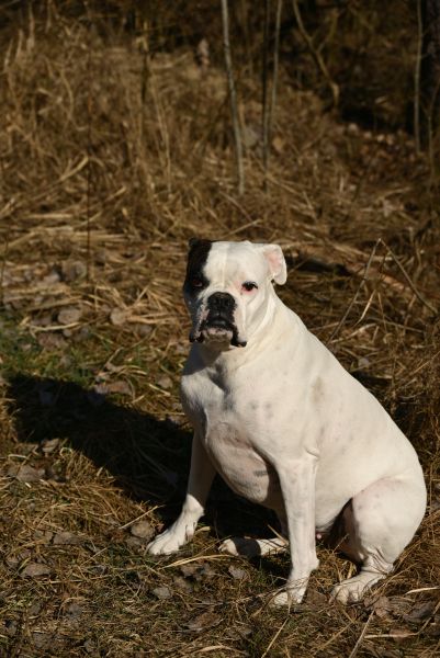 Maraton Wrota Piekieł w Gminie Bliżyn