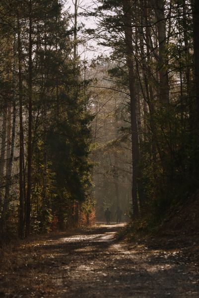 Maraton Wrota Piekieł w Gminie Bliżyn