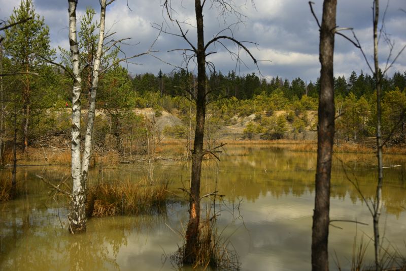 Maraton Wrota Piekieł w Gminie Bliżyn