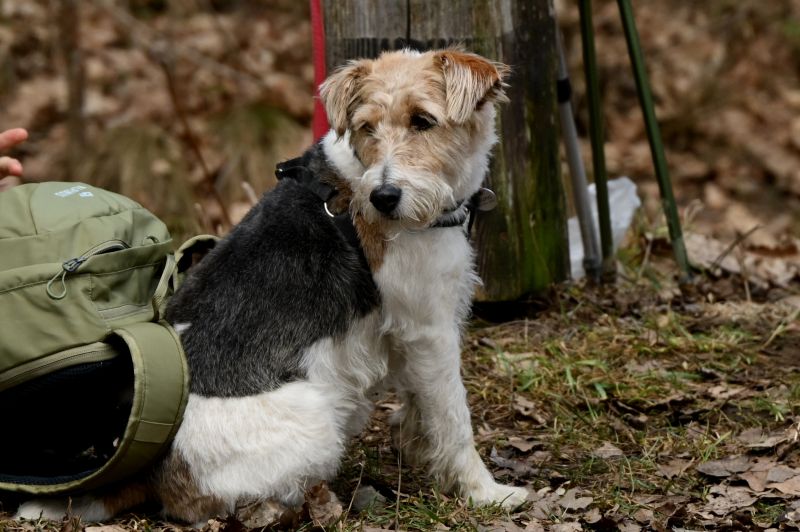 Maraton Wrota Piekieł w Gminie Bliżyn