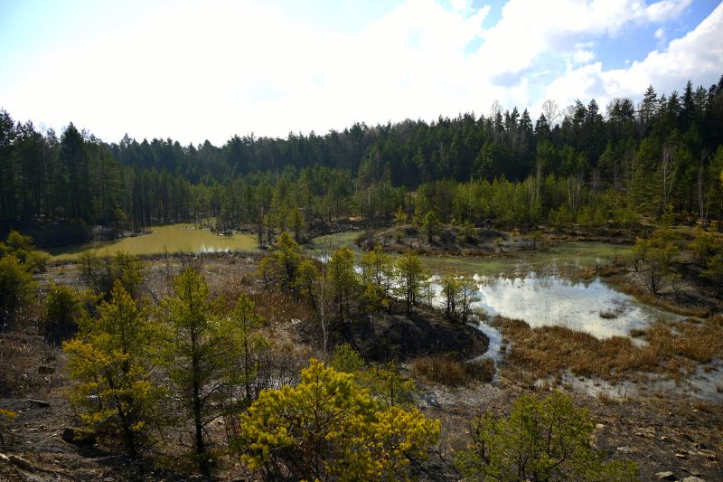 Maraton Wrota Piekieł w Gminie Bliżyn