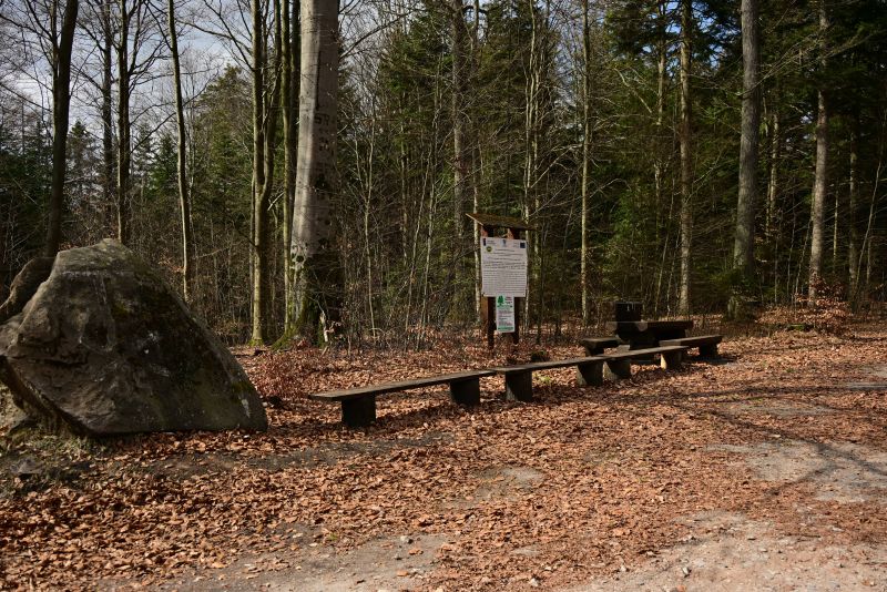 Maraton Wrota Piekieł w Gminie Bliżyn