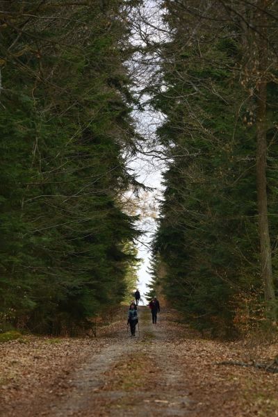 Maraton Wrota Piekieł w Gminie Bliżyn