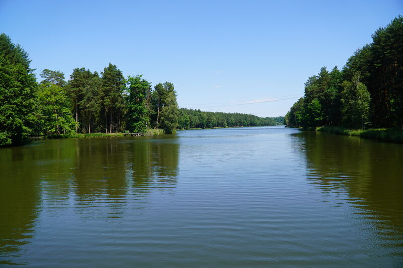 DSC07098