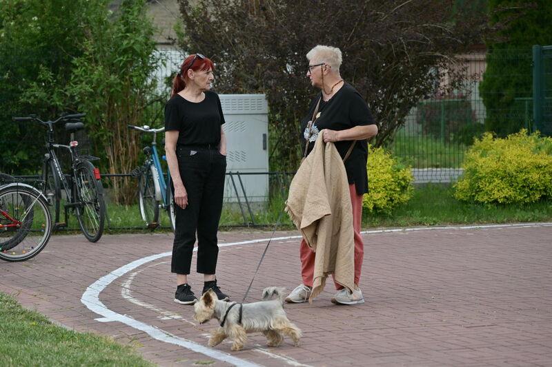 IV marszobieg powiatowy z cyklu Osobliwości przyrodnicze powiatu skarżyskiego