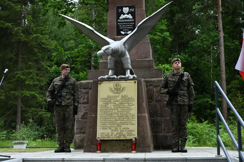 MIL_8076-001.jpg