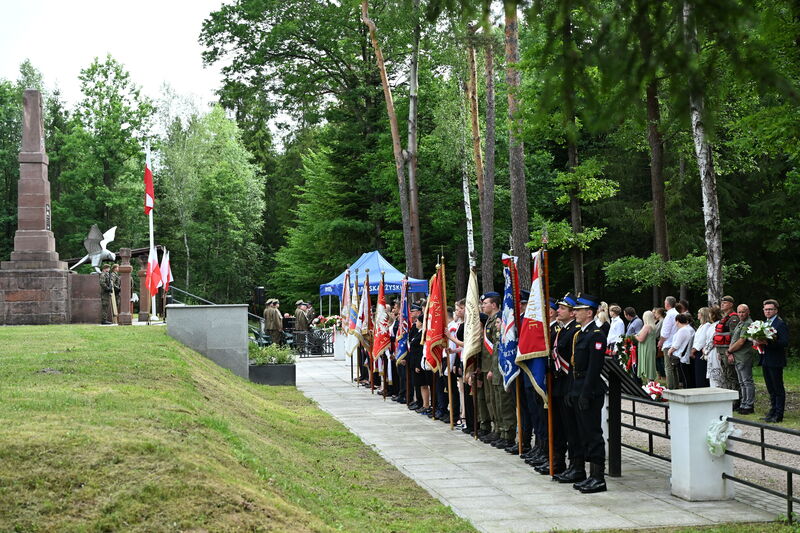 MIL_8128-001.jpg