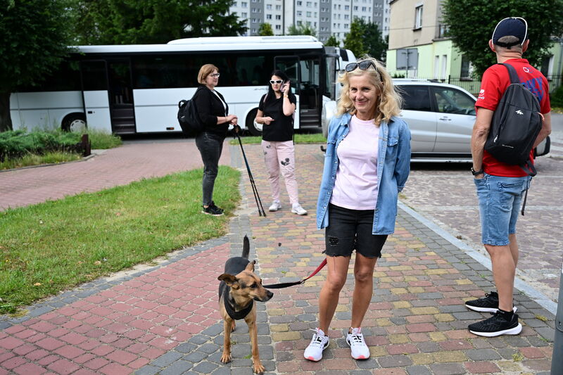 V Marszobieg Powiatowy