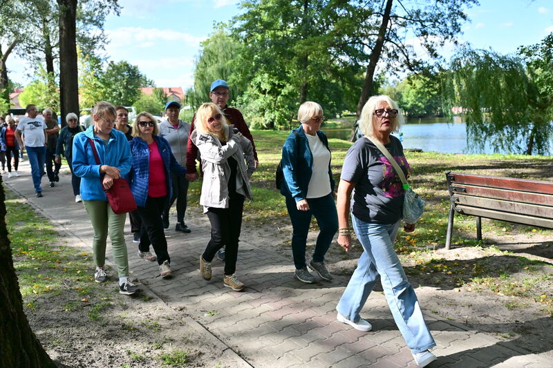 grupa turystów idąca aleją w parku