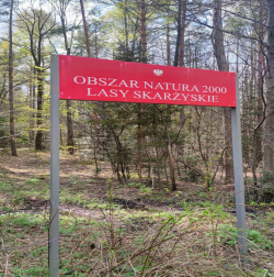 Lasy Skarzyskie Obszar Natura 2000